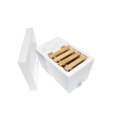 LYSON Bienenkasten für eine Familie aus Styropor unbemalt, Begattungskästchen - Image 7